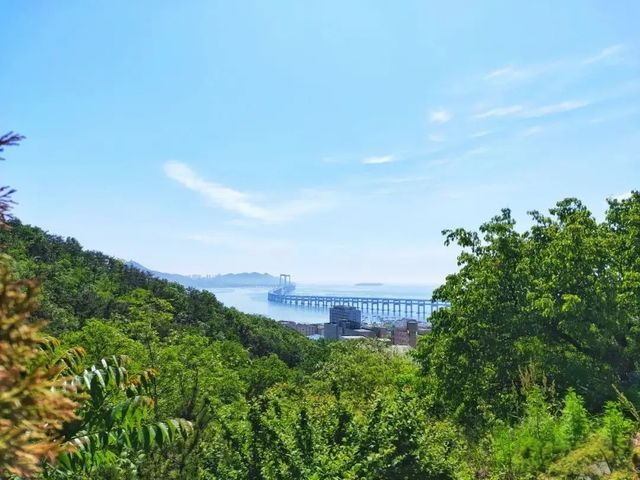 大連西尖山公園：0元解鎖山海全景的城芯秘境
