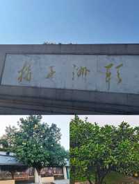 長沙橘子洲遊玩全攻略：與毛爺爺合影+避開人潮的沉浸式體驗