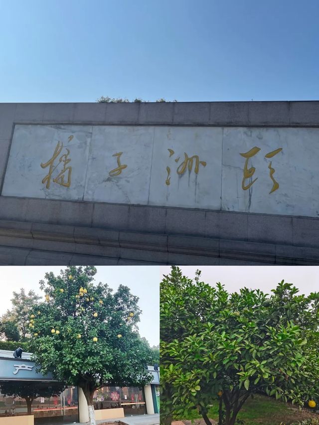 長沙橘子洲遊玩全攻略：與毛爺爺合影+避開人潮的沉浸式體驗