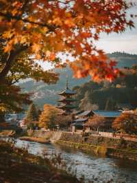 嵐山秋日手記｜在紅葉與流水間收藏王朝物語