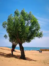 陝北塞外秘境｜中國最大沙漠淡水湖