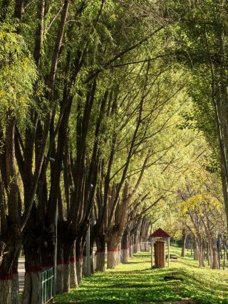 Sister Trip in Baotou｜Wudangzhao + Ma'anshan, One-Click Journey Through the Secret Grassland Realm