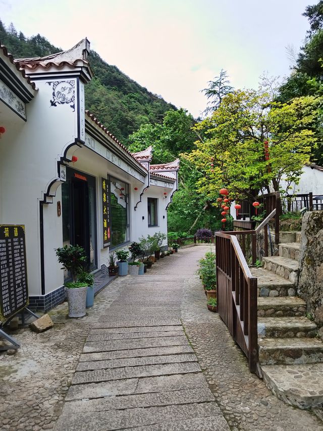 閔園尼庵群,悠揚古鐘鳳凰松 閔園尼庵群,悠揚古鐘鳳凰松