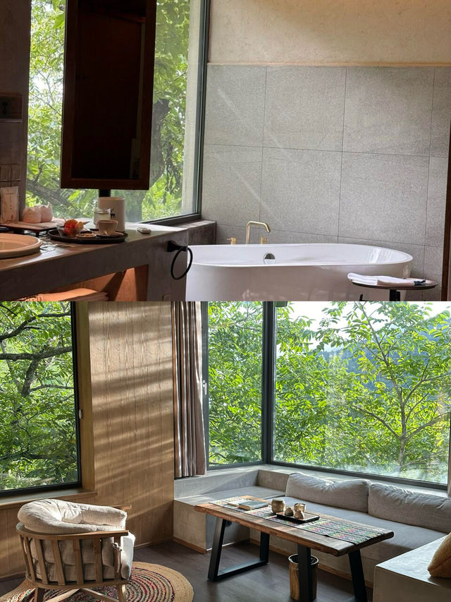 昆明｜彷彿住在綠野仙蹤裡