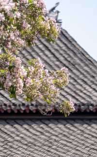 立冬鹽官：潮聲裡藏帝王事，古城中覓冬日安