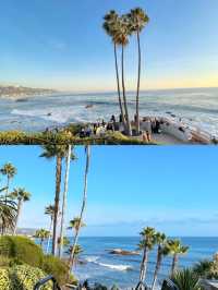 加州日記｜Laguna Beach不踩雷攻略