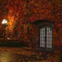 🇯🇵 삿포로에서 만난 기적의 5일: 가을과 겨울이 동시에 🤯