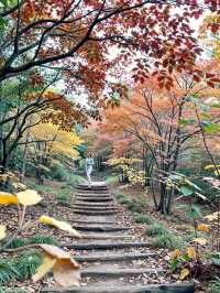 北京美到心顫的紅葉