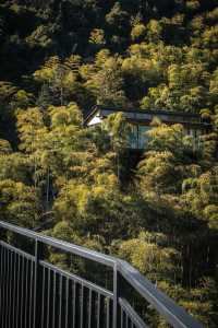 安吉躺平封神！私湯+瀑布+山野下午茶～