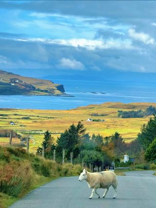 Stunning White Cliffs of England! Embark on a spontaneous romantic trip