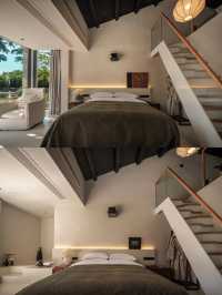 25℃的夏天！四明山雲自泊民宿藏進森林氧吧！