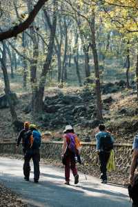 南京止馬嶺 秋季徒步出片指南