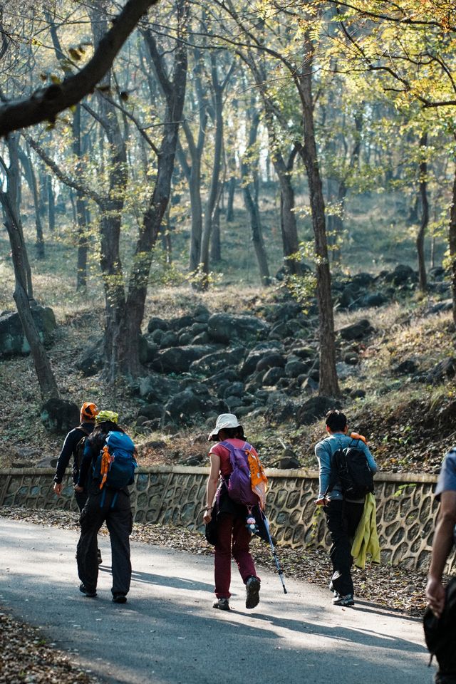 南京止馬嶺 秋季徒步出片指南