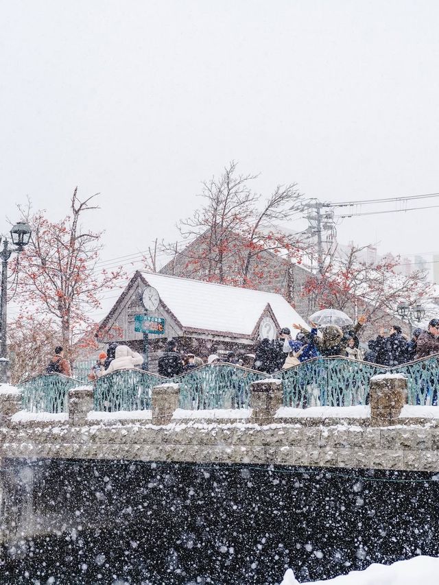 冬日小樽的浪漫物語雪與運河的日與夜