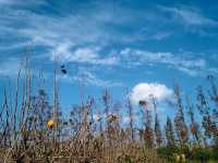 走進一片世外桃源~東灘濕地好美