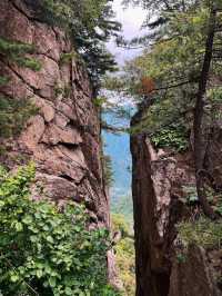 雲海之巔，心之所向：玉皇頂療癒之旅