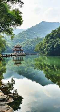 師傅，剎一腳深度遊肇慶：揭秘嶺南第一湖之美