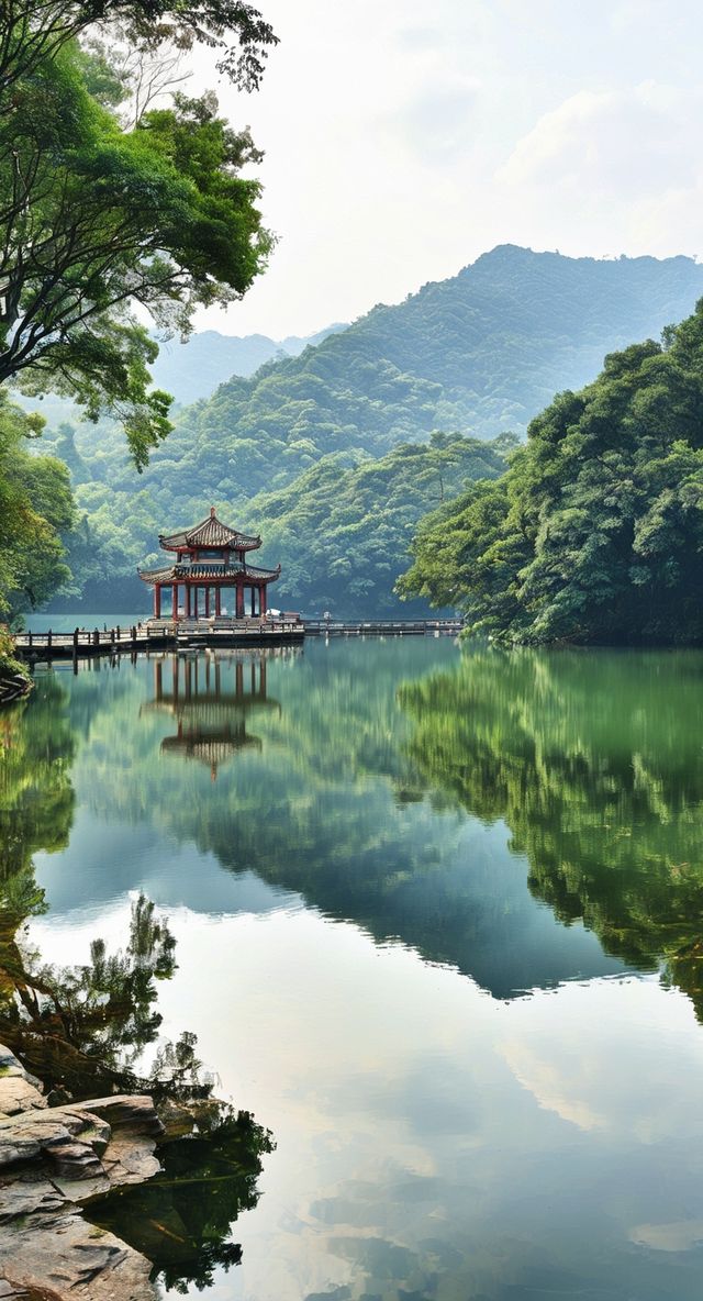 師傅，剎一腳深度遊肇慶：揭秘嶺南第一湖之美