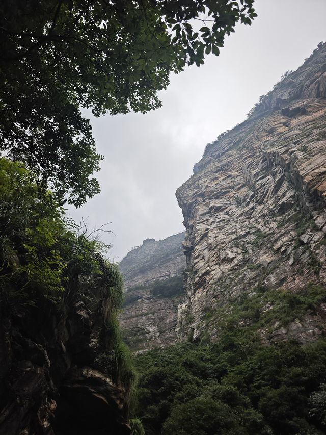 廬山水系頂流！三疊泉瀑布暴走2h攻略！