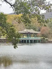 鐘山景區一日遊攻略 反方向路線避開人流