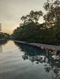 暹粒|林木線城市度假村的高級舒適感受   酒店：Treeline Urban Resort   