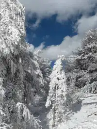 樺皮嶺踏雪徒步|88元冬遊特惠!