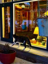 🌊 눈앞엔 끝없이 펼쳐진 바다! 청도 최고의 풍경 카페✨