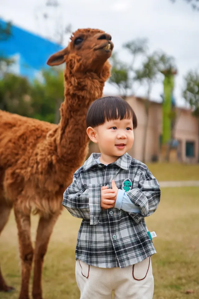 2h直達上海周邊遛娃聖地南通野生動物