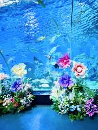 泉州歐樂堡歡樂全攻略