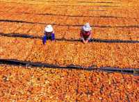 秋遊必看昆明等地攻略直接抄作業