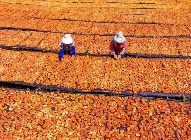 秋遊必看昆明等地攻略直接抄作業 秋遊必看昆明等地攻略直接抄作業