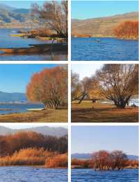 秋遊必看昆明等地攻略直接抄作業