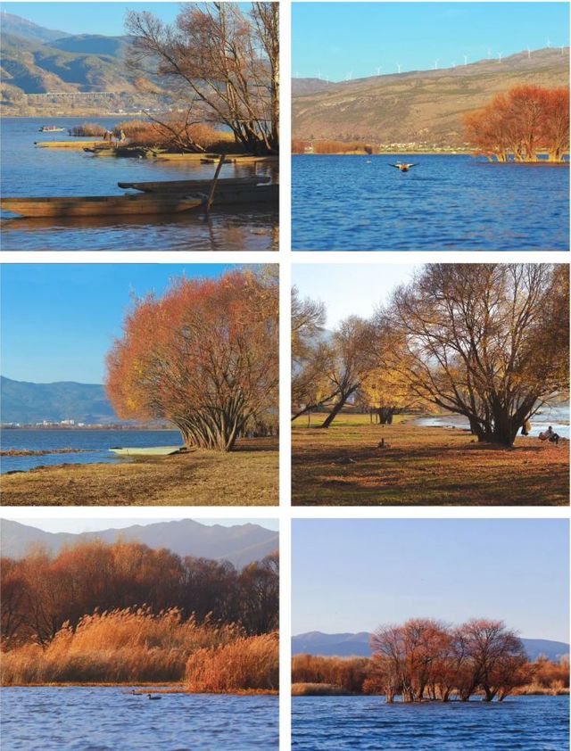 秋遊必看昆明等地攻略直接抄作業 秋遊必看昆明等地攻略直接抄作業