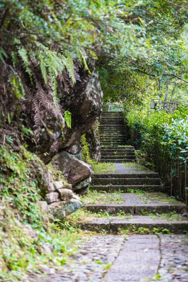 江浙滬秋天唯一推薦的小眾旅行目的地。。 江浙滬秋天唯一推薦的小眾旅行目的地。。