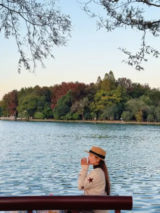 Has the Metasequoia in Martyrs Park, Changsha turned yellow? Real shot shared on November 19