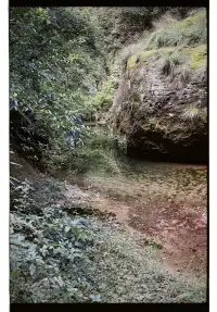 清冷武夷山，最宜岩骨花香漫步