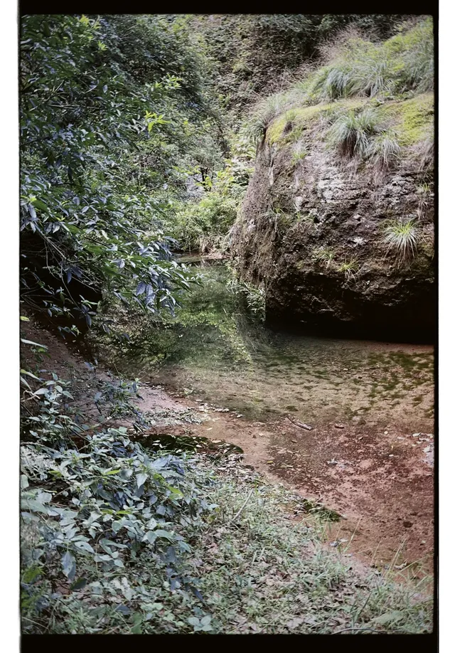 清冷武夷山，最宜岩骨花香漫步