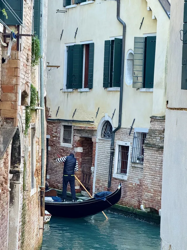 威尼斯你別太寵我！！！