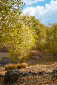 “南加無秋？”我不這麼認為喔