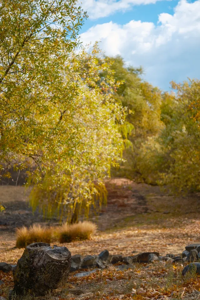 “南加無秋？”我不這麼認為喔