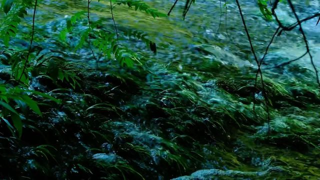 🫧荔波·小七孔地球上的綠寶石🟢