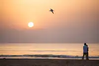 穿行阿爾布費拉自然公園，遇見自然本真