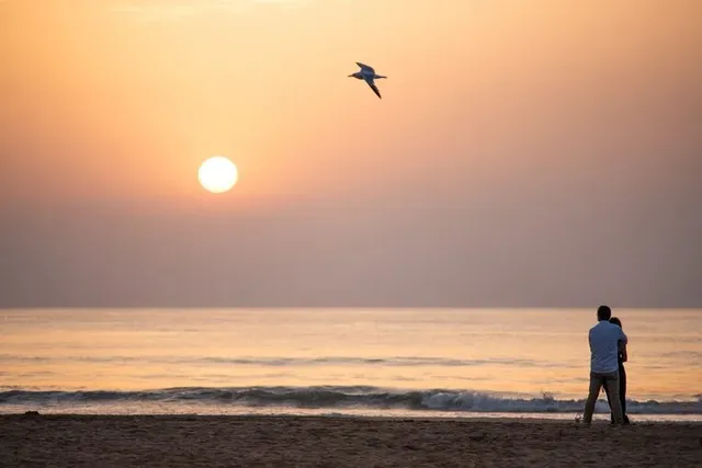 穿行阿爾布費拉自然公園，遇見自然本真