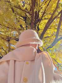 不是北京｜真的在麗江今日實況美哭了