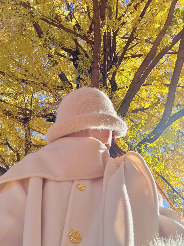 不是北京｜真的在麗江今日實況美哭了