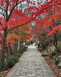 建築與自然的詩意碰撞|踏千年城垣,尋江南福地,感受古邑風雅