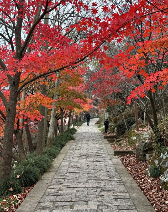 建築與自然的詩意碰撞|踏千年城垣,尋江南福地,感受古邑風雅 建築與自然的詩意碰撞|踏千年城垣,尋江南福地,感受古邑風雅