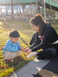 滴水湖真的太適合遛娃了！！！！