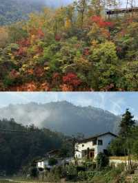 人生建議：一定要深入秦嶺深處嘅治癒烏托邦