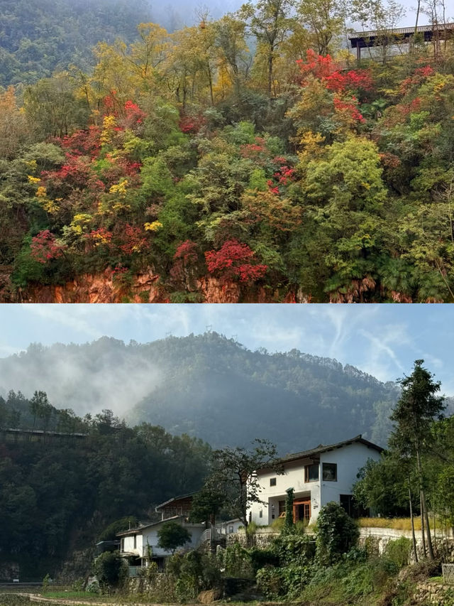 人生建議：一定要深入秦嶺深處嘅治癒烏托邦